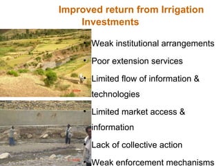 Resource utilization and managing conflict in the pastoral community of Ethiopia 