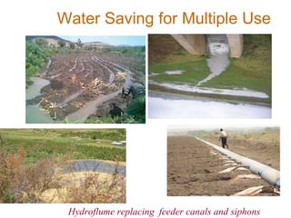 Resource utilization and managing conflict in the pastoral community of Ethiopia 