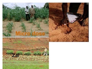 Resource utilization and managing conflict in the pastoral community of Ethiopia 