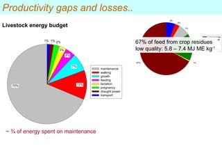 Resource utilization and managing conflict in the pastoral community of Ethiopia 