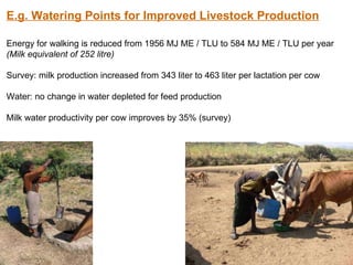Resource utilization and managing conflict in the pastoral community of Ethiopia 