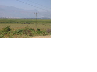 Resource utilization and managing conflict in the pastoral community of Ethiopia 