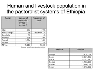 Resource utilization and managing conflict in the pastoral community of Ethiopia 
