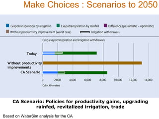 Resource utilization and managing conflict in the pastoral community of Ethiopia 