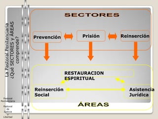 ¿Qué SECTORES y ÁREAS
   La Pastoral Penitenciaria




                               Prevención         Prisión   Reinserción
         comprende?




                                             RESTAURACION
                                             ESPIRITUAL

                               Reinserción                     Asistencia
                               Social                          Jurídica
  Pastoral
Penitenciaria

  Pastoral
     de
  Justicia
      y
  Libertad
 