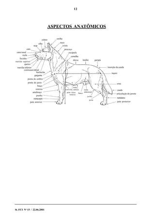 12
St. FCI No
15 / 22.06.2001
ASPECTOS ANATÔMICOS
crânio
inserção da cauda
garupalombodorso
cernelha
escápula
pescoço
crista
nuca
orelha
olho
stop
cara
cana nasal
trufa
focinho
maxilar superior
queixo
maxilar inferior
comissura labial
bochecha
garganta
ponta do ombro
ponta do peito
braço
esterno
antebraço
punho
metacarpo
pata anterior
cotovelo
peito /caixa
torácica
linha
inferior
flanco
linha
abdominal
perna
joelho
articulação do jarrete
metatarso
pata posterior
cauda
coxa
ísquio
 