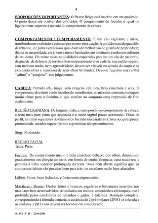 4
St. FCI No
15 / 22.06.2001
PROPORÇÕES IMPORTANTES: O Pastor Belga está inscrito em um quadrado.
O peito desce até o nível dos cotovelos. O comprimento do focinho é igual ou
ligeiramente superior à metade do comprimento da cabeça.
COMPORTAMENTO / TEMPERAMENTO: É um cão vigilante e ativo,
transborda em vitalidade e está sempre pronto para a ação. À aptidão inata de guardião
de rebanho, ele junta as preciosas qualidades de melhor cão de guarda de propriedade;
diante da necessidade, ele é, sem a menor hesitação, um obstinado e ardoroso defensor
de seu dono. Ele reúne todas as qualidades requeridas para ser um cão de pastoreio,
de guarda, de defesa e de serviço. Seu temperamento vivo e alerta, seu caráter seguro,
sem nenhum medo, nem agressividade, devem ser visíveis na atitude do corpo e na
expressão altiva e atenciosa de seus olhos brilhantes. Deve-se registrar seu caráter
“calmo” e “corajoso” nos julgamentos.
CABEÇA: Portada alta, longa, sem exagero, retilínea, bem cinzelada e seca. O
comprimento do crânio e o do focinho são semelhantes, no máximo, com uma vantagem
muito tênue para o focinho, o que confere ao conjunto uma impressão de fino
acabamento.
REGIÃO CRANIANA: De largura média, em proporção ao comprimento da cabeça;
a testa mais para plana que arqueada e o sulco sagital pouco acentuado. Vistas de
perfil, as linhas superiores do crânio e do focinho são paralelas. Crista occipital pouco
pronunciada, arcadas superciliares e zigomáticas não proeminentes.
Stop: Moderado.
REGIÃO FACIAL
Trufa: Preta.
Focinho: De comprimento médio e bem cinzelado debaixo dos olhos, diminuindo
gradualmente em direção ao nariz, em forma de cunha alongada; cana nasal reta e
paralela à linha superior prolongada da testa. Boca bem aberta significa que: as
comissuras labiais são puxadas bem para trás; os maxilares estão bem afastados.
Lábios: Finos, bem fechados, e fortemente pigmentados.
Maxilares / Dentes: Dentes fortes e brancos, regulares e fortemente inseridos nos
maxilares bem desenvolvidos. Articulados em tesoura; a mordedura em torquês, que é
preferida pelos condutores de rebanhos e gados, é tolerada. Dentição completa,
correspondendo à fórmula dentária; a ausência de 2 pré-molares (2PM1) é tolerada e
os molares 3 (M3) não devem ser levados em consideração.
 