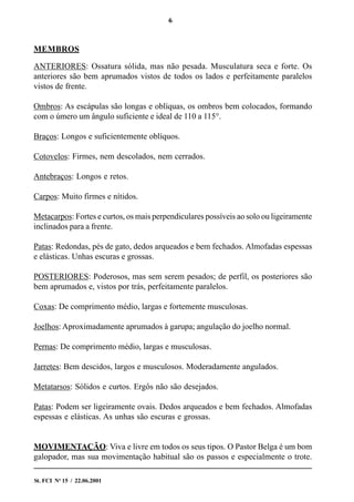 6
St. FCI No
15 / 22.06.2001
MEMBROS
ANTERIORES: Ossatura sólida, mas não pesada. Musculatura seca e forte. Os
anteriores são bem aprumados vistos de todos os lados e perfeitamente paralelos
vistos de frente.
Ombros: As escápulas são longas e oblíquas, os ombros bem colocados, formando
com o úmero um ângulo suficiente e ideal de 110 a 115°.
Braços: Longos e suficientemente oblíquos.
Cotovelos: Firmes, nem descolados, nem cerrados.
Antebraços: Longos e retos.
Carpos: Muito firmes e nítidos.
Metacarpos: Fortes e curtos, os mais perpendiculares possíveis ao solo ou ligeiramente
inclinados para a frente.
Patas: Redondas, pés de gato, dedos arqueados e bem fechados. Almofadas espessas
e elásticas. Unhas escuras e grossas.
POSTERIORES: Poderosos, mas sem serem pesados; de perfil, os posteriores são
bem aprumados e, vistos por trás, perfeitamente paralelos.
Coxas: De comprimento médio, largas e fortemente musculosas.
Joelhos: Aproximadamente aprumados à garupa; angulação do joelho normal.
Pernas: De comprimento médio, largas e musculosas.
Jarretes: Bem descidos, largos e musculosos. Moderadamente angulados.
Metatarsos: Sólidos e curtos. Ergôs não são desejados.
Patas: Podem ser ligeiramente ovais. Dedos arqueados e bem fechados. Almofadas
espessas e elásticas. As unhas são escuras e grossas.
MOVIMENTAÇÃO: Viva e livre em todos os seus tipos. O Pastor Belga é um bom
galopador, mas sua movimentação habitual são os passos e especialmente o trote.
 