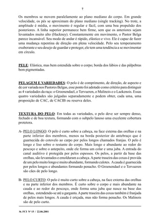 7
St. FCI No
15 / 22.06.2001
Os membros se movem paralelamente ao plano mediano do corpo. Em grande
velocidade, os pés se aproximam do plano mediano (single tracking). No trote, a
amplitude é média, o movimento é regular e fácil, com uma boa propulsão dos
posteriores. A linha superior permanece bem firme, sem que os anteriores sejam
levantados muito alto (Hackney). Constantemente em movimento, o Pastor Belga
parece incansável. Seu modo de andar é rápido, elástico e vivo. Ele é capaz de fazer
uma mudança repentina de direção em plena velocidade. Pelo seu temperamento
exuberante e seu desejo de guardar e proteger, ele tem uma tendência a se movimentar
em círculo.
PELE: Elástica, mas bem estendida sobre o corpo; borda dos lábios e das pálpebras
bem pigmentadas.
PELAGEM E VARIEDADES: O pelo é de comprimento, de direção, de aspecto e
de cor variada nos Pastores Belgas, esse ponto foi adotado como critério para distinguir
as 4 variedades da raça: o Groenendael, o Tervueren, o Malinois e o Laekenois. Essas
quatro variedades são julgadas separadamente e podem obter, cada uma, uma
proposição de CAC, de CACIB ou reserva deles.
TEXTURA DO PELO: Em todas as variedades, o pelo deve ser sempre denso,
fechado e de boa textura, formando com o subpelo lanoso uma excelente cobertura
protetora.
A- PELO LONGO: O pelo é curto sobre a cabeça, na face externa das orelhas e na
parte inferior dos membros, menos na borda posterior do antebraço que é
guarnecida do cotovelo ao carpo por pelos longos chamados franjas. O pelo é
longo e liso sobre o restante do corpo. Mais longo e abundante ao redor do
pescoço e sobre o antepeito, onde ele forma um colar e uma juba. A entrada do
canal auditivo é protegida por pelos espessos. Os pelos, a partir da base das
orelhas, são levantados e emolduram a cabeça.Aparte traseira das coxas é provida
de um pelo muito longo e muito abundante, formando culotes. Acauda é guarnecida
por pelos longos e abundantes formando penacho. O Groenendael e o Tervueren
são cães de pelo longo.
B- PELO CURTO: O pelo é muito curto sobre a cabeça, na face externa das orelhas
e na parte inferior dos membros. É curto sobre o corpo e mais abundante na
cauda e ao redor do pescoço, onde forma uma juba que nasce na base das
orelhas, estendendo-se até a garganta.Aparte traseira das coxas também é franjada
de pelos mais longos. A cauda é eriçada, mas não forma penacho. Os Malinois
são de pelo curto.
 
