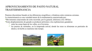 APROVECHAMIENTO DE PASTO NATURAL
TRASTERMINANCIA
Pastoreo discontinuo basado en las diferencias orográficas y climáticas entre comarcas cercanas.
La trasterminancia es una variedad menor de la trashumancia caracterizada por:
Movimientos estacionales de corto recorrido, por lo general, inferiores a los 100 km.
Estos desplazamientos de ganado se producen próximos a las explotaciones ganaderas:
 entre las zonas bajas de los valles, en el invierno,
 los puertos de montañas, en la temporada estival, donde las reses se alimentan en pastizales de
diente y la hierba se mantiene más tiempo.
 