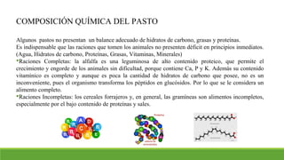 COMPOSICIÓN QUÍMICA DEL PASTO
Algunos pastos no presentan un balance adecuado de hidratos de carbono, grasas y proteínas.
Es indispensable que las raciones que tomen los animales no presenten déficit en principios inmediatos.
(Agua, Hidratos de carbono, Proteínas, Grasas, Vitaminas, Minerales)
Raciones Completas: la alfalfa es una leguminosa de alto contenido proteico, que permite el
crecimiento y engorde de los animales sin dificultad, porque contiene Ca, P y K. Además su contenido
vitamínico es completo y aunque es poca la cantidad de hidratos de carbono que posee, no es un
inconveniente, pues el organismo transforma los péptidos en glucósidos. Por lo que se le considera un
alimento completo.
Raciones Incompletas: los cereales forrajeros y, en general, las gramíneas son alimentos incompletos,
especialmente por el bajo contenido de proteínas y sales.
 