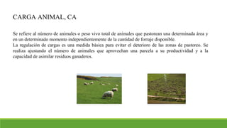 CARGA ANIMAL, CA
Se refiere al número de animales o peso vivo total de animales que pastorean una determinada área y
en un determinado momento independientemente de la cantidad de forraje disponible.
La regulación de cargas es una medida básica para evitar el deterioro de las zonas de pastoreo. Se
realiza ajustando el número de animales que aprovechan una parcela a su productividad y a la
capacidad de asimilar residuos ganaderos.
 