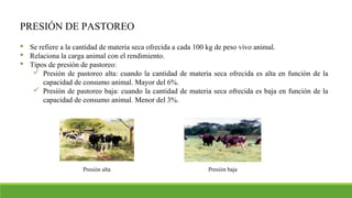 PRESIÓN DE PASTOREO
 Se refiere a la cantidad de materia seca ofrecida a cada 100 kg de peso vivo animal.
 Relaciona la carga animal con el rendimiento.
 Tipos de presión de pastoreo:
 Presión de pastoreo alta: cuando la cantidad de materia seca ofrecida es alta en función de la
capacidad de consumo animal. Mayor del 6%.
 Presión de pastoreo baja: cuando la cantidad de materia seca ofrecida es baja en función de la
capacidad de consumo animal. Menor del 3%.
Presión alta Presión baja
 