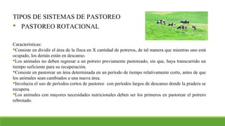 TIPOS DE SISTEMAS DE PASTOREO
 PASTOREO ROTACIONAL
Características:
Consiste en dividir el área de la finca en X cantidad de potreros, de tal manera que mientras uno está
ocupado, los demás están en descanso.
Los animales no deben regresar a un potrero previamente pastoreado, sin que, haya transcurrido un
tiempo suficiente para su recuperación.
Consiste en pastorear un área determinada en un período de tiempo relativamente corto, antes de que
los animales sean cambiados a una nueva área.
Involucra el uso de períodos cortos de pastoreo con períodos largos de descanso donde la pradera se
recupera.
Los animales con mayores necesidades nutricionales deben ser los primeros en pastorear el potrero
rebrotado.
 
