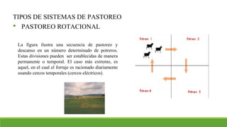 TIPOS DE SISTEMAS DE PASTOREO
 PASTOREO ROTACIONAL
La figura ilustra una secuencia de pastoreo y
descanso en un número determinado de potreros.
Estas divisiones pueden ser establecidas de manera
permanente o temporal. El caso más extremo, es
aquel, en el cual el forraje es racionado diariamente
usando cercos temporales (cercos eléctricos).
 