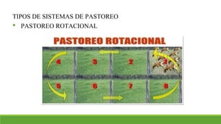TIPOS DE SISTEMAS DE PASTOREO
 PASTOREO ROTACIONAL
 