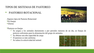 TIPOS DE SISTEMAS DE PASTOREO
 PASTOREO ROTACIONAL
Algunos tipos de Pastoreo Rotacional
En franjas
Alterno
Pastoreo en franjas
 Se asigna a los animales diariamente o por periodos menores de un día, en franjas de
potreros suficientes para la alimentación del grupo de animales.
 Se obtiene una alta capacidad de carga.
 El pastoreo es más uniforme.
 Se reduce la selectividad del animal.
 