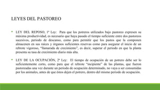 LEYES DEL PASTOREO
 LEY DEL REPOSO, 1ª Ley: Para que los potreros utilizados bajo pastoreo expresen su
máxima productividad, es necesario que haya pasado el tiempo suficiente entre dos pastoreos
sucesivos, periodo de descanso, como para permitir que los pastos que la componen
almacenen en sus raíces y órganos suficientes reservas como para asegurar el inicio de un
rebrote vigoroso, “llamarada de crecimiento”, es decir, superar el periodo en que la planta
presenta su tasa de crecimiento diario más alta.
 LEY DE LA OCUPACIÓN, 2ª Ley: El tiempo de ocupación de un potrero debe ser lo
suficientemente corto, como para que el rebrote “incipiente” de las plantas, que fueron
pastoreadas una vez durante un periodo de ocupación determinado, no vaya a ser consumidas
por los animales, antes de que éstos dejen el potrero, dentro del mismo periodo de ocupación.
 