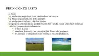 DEFINICIÓN DE PASTO
El pasto:
es un alimento vegetal que crece en el suelo de los campos
se destina a la alimentación de los animales
es un alimento económico y fácil de obtener
proporciona una dieta de una calidad insustituible: variada, rica en vitaminas y minerales
sólo hay que complementarla cuando:
 el pasto escasea
 su calidad disminuye (por ejemplo a final de su ciclo, sequías) o
 los animales se encuentran en un periodo de máxima producción.
 