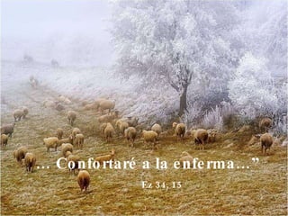 …  Confortaré a la enferma…”  Ez 34, 15 