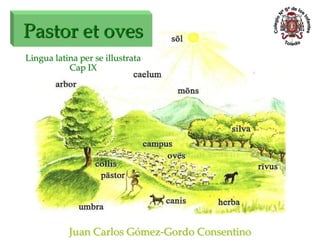 Pastor et oves
Juan Carlos Gómez-Gordo Consentino
Lingua latina per se illustrata
Cap IX
 