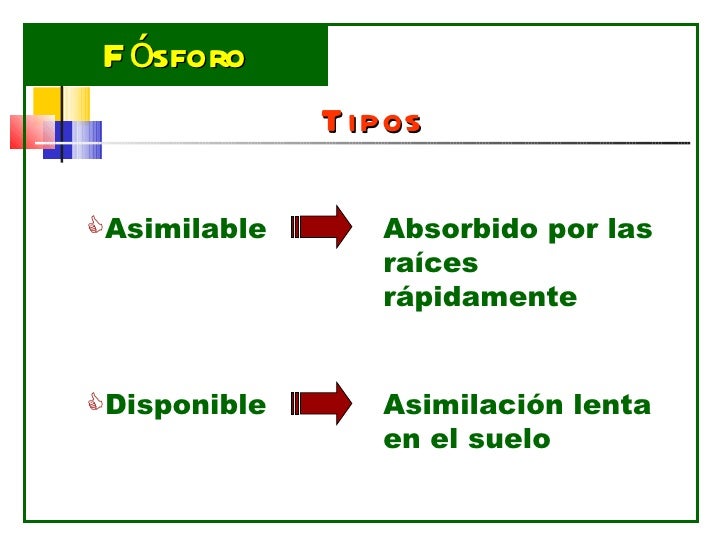 Pastos