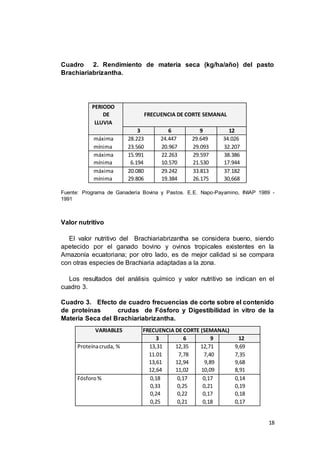 18
Cuadro 2. Rendimiento de materia seca (kg/ha/año) del pasto
Brachiariabrizantha.
Fuente: Programa de Ganadería Bovina y Pastos. E.E. Napo-Payamino, INIAP 1989 -
1991
Valor nutritivo
El valor nutritivo del Brachiariabrizantha se considera bueno, siendo
apetecido por el ganado bovino y ovinos tropicales existentes en la
Amazonía ecuatoriana; por otro lado, es de mejor calidad si se compara
con otras especies de Brachiaria adaptadas a la zona.
Los resultados del análisis químico y valor nutritivo se indican en el
cuadro 3.
Cuadro 3. Efecto de cuadro frecuencias de corte sobre el contenido
de proteínas crudas de Fósforo y Digestibilidad in vitro de la
Materia Seca del Brachiariabrizantha.
PERIODO
DE
LLUVIA
FRECUENCIA DE CORTE SEMANAL
3 6 9 12
máxima 28.223 24.447 29.649 34.026
mínima 23.560 20.967 29.093 32.207
máxima 15.991 22.263 29.597 38.386
mínima 6.194 10.570 21.530 17.944
máxima 20.080 29.242 33.813 37.182
mínima 29.806 19.384 26.175 30,668
VARIABLES FRECUENCIA DE CORTE (SEMANAL)
3 6 9 12
Proteínacruda, % 13,31
11.01
13,61
12,64
12,35
7,78
12,94
11,02
12,71
7,40
9,89
10,09
9,69
7,35
9,68
8,91
Fósforo% 0,18
0,33
0,24
0,25
0,17
0,25
0,22
0,21
0,17
0,21
0,17
0,18
0,14
0,19
0,18
0,17
 
