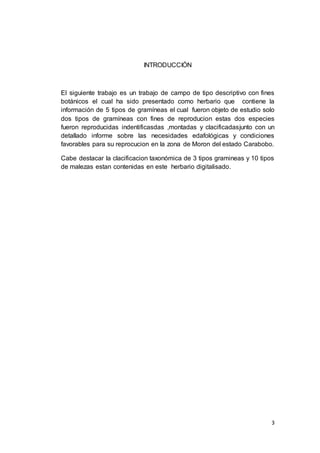 3
INTRODUCCIÓN
El siguiente trabajo es un trabajo de campo de tipo descriptivo con fines
botánicos el cual ha sido presentado como herbario que contiene la
información de 5 tipos de gramíneas el cual fueron objeto de estudio solo
dos tipos de gramíneas con fines de reproducion estas dos especies
fueron reproducidas indentificasdas ,montadas y clacificadasjunto con un
detallado informe sobre las necesidades edafológicas y condiciones
favorables para su reprocucion en la zona de Moron del estado Carabobo.
Cabe destacar la clacificacion taxonómica de 3 tipos gramineas y 10 tipos
de malezas estan contenidas en este herbario digitalisado.
 