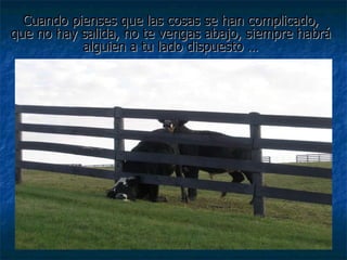 Cuando pienses que las cosas se han complicado, que no hay salida, no te vengas abajo, siempre habrá alguien a tu lado dispuesto … 