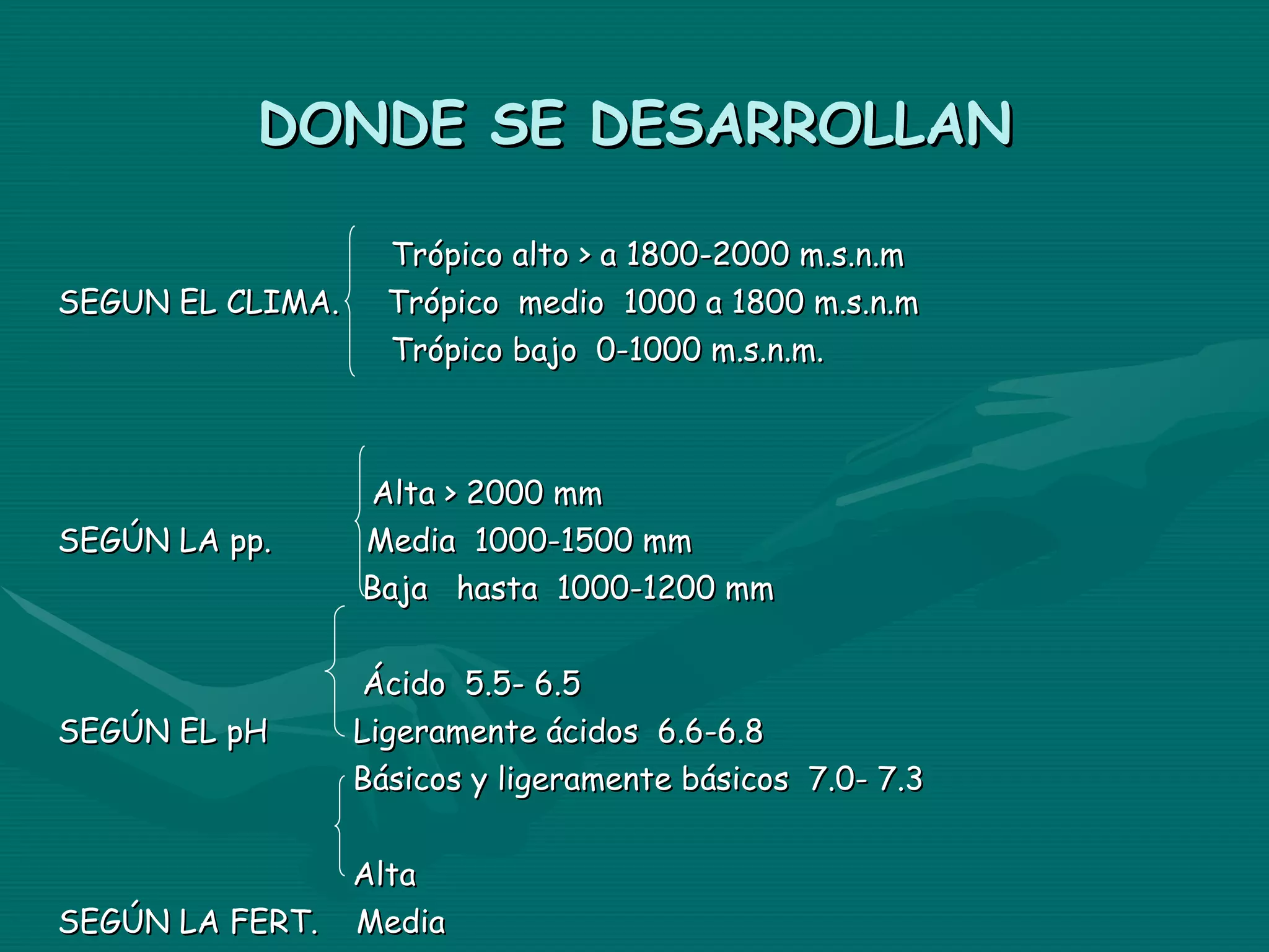 DONDE SE DESARROLLAN Trópico alto > a 1800-2000 m.s.n.m SEGUN EL CLIMA.  Trópico  medio  1000 a 1800 m.s.n.m Trópico bajo  0-1000 m.s.n.m. Alta > 2000 mm SEGÚN LA pp.  Media  1000-1500 mm Baja  hasta  1000-1200 mm Ácido  5.5- 6.5 SEGÚN EL pH  Ligeramente ácidos  6.6-6.8 Básicos y ligeramente básicos  7.0- 7.3 Alta  SEGÚN LA FERT.  Media Baja 