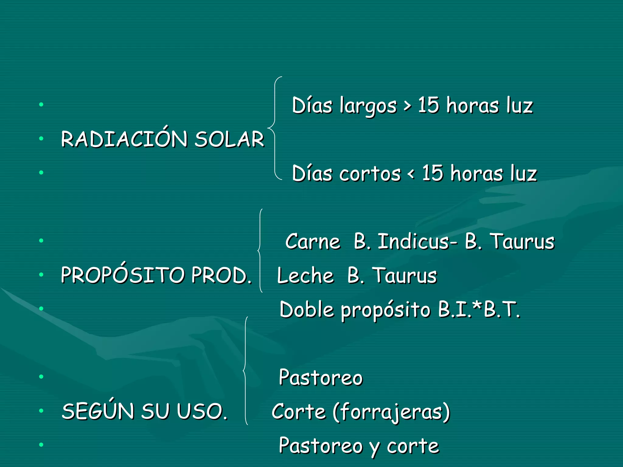 Días largos > 15 horas luz RADIACIÓN SOLAR Días cortos < 15 horas luz Carne  B. Indicus- B. Taurus PROPÓSITO PROD.  Leche  B. Taurus Doble propósito B.I.*B.T. Pastoreo SEGÚN SU USO.  Corte (forrajeras) Pastoreo y corte  