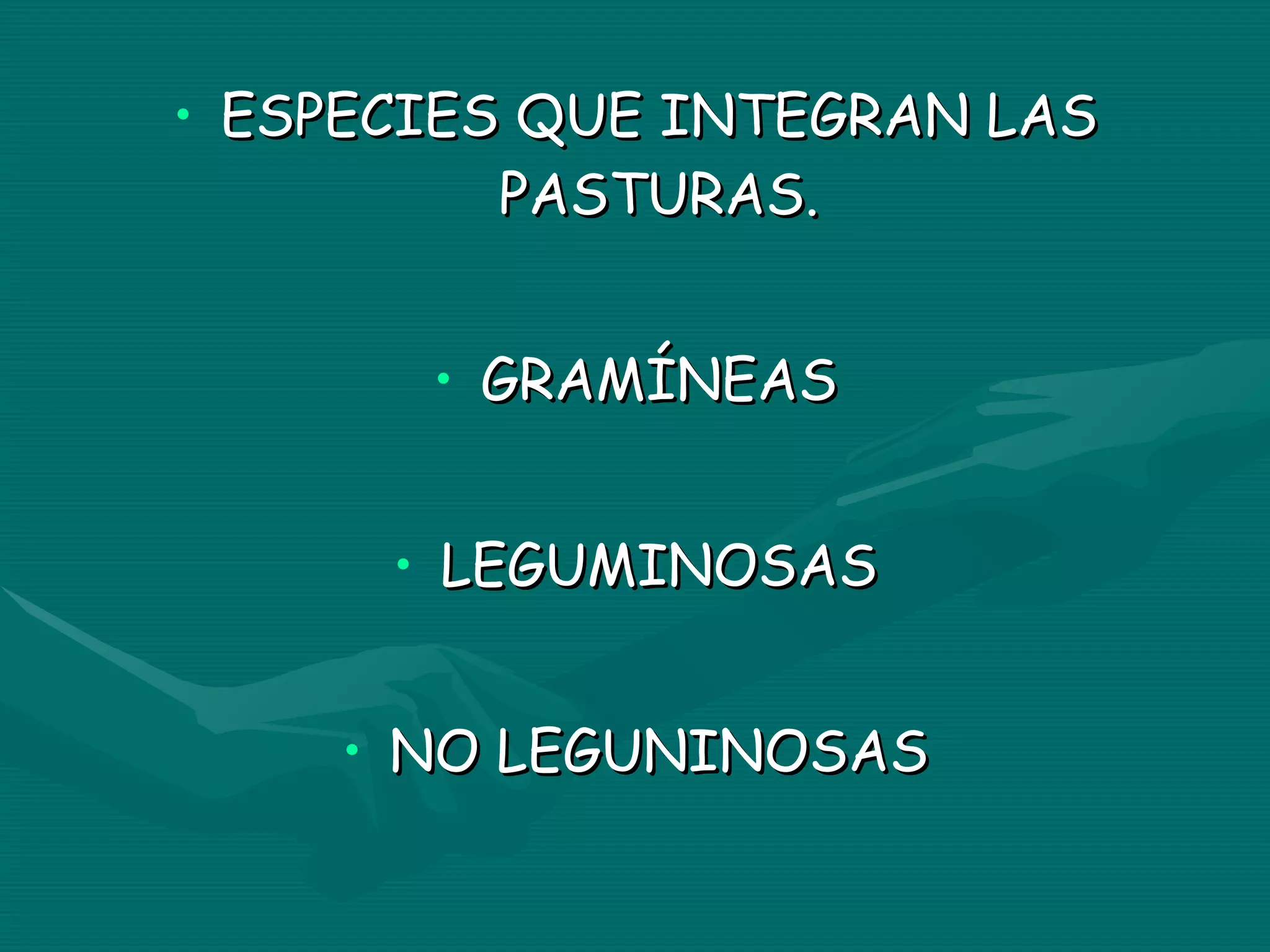 ESPECIES QUE INTEGRAN LAS PASTURAS. GRAMÍNEAS LEGUMINOSAS NO LEGUNINOSAS 