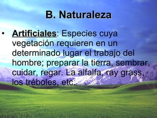 B. Naturaleza Artificiales : Especies cuya vegetación requieren en un determinado lugar el trabajo del hombre; preparar la tierra, sembrar, cuidar, regar. La alfalfa, ray grass, los tréboles, etc. 