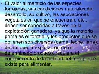 El valor alimenticio de las especies forrajeras, sus condiciones naturales de desarrollo, su cultivo, las asociaciones vegetales en que se encuentran, etc., deben ser conocidas a través de la explotación ganadera, ya que la materia prima es el forraje, y los productos que se obtienen son diversos (carne, leche, lana), de ahí que la explotación de un determinado producto, requiere el conocimiento de la calidad del forraje que existe para alimentar. 