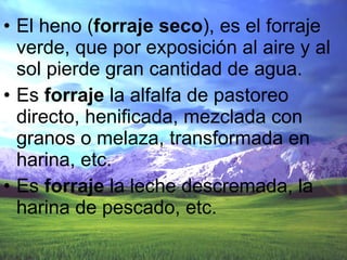El heno ( forraje   seco ), es el forraje verde, que por exposición al aire y al sol pierde gran cantidad de agua. Es  forraje  la alfalfa de pastoreo directo, henificada, mezclada con granos o melaza, transformada en harina, etc. Es  forraje  la leche descremada, la harina de pescado, etc. 