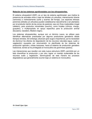 Tema: Manejo de Pastos y Sistemas Silvopastoriles
Dr. Otoniel López López
Página 102
Relación de los sistemas agroforestales con los silvopastoriles.
El sistema silvopastoril (SSP); es un tipo de sistema agroforestal, que implica la
presencia de animales entre o bajo los árboles y/o arbustos; interactuando directa
(ramoneo) o indirectamente (corte y acarreo del forraje). Las especies leñosas
perennes (árboles y/o arbustos) pueden establecerse naturalmente o ser plantados
por el productor dentro de las zonas de pastoreo; sea con fines maderables (nogal
cafetero), para productos industriales (caucho), como frutales (cítricos, mango,
guayabo), o multipropósito en apoyo específico para la producción animal
(leucaena, nacedero, Madero negro).
Los sistemas silvopastoriles; aunque son un término nuevo, se utilizan para
identificar alternativas practicadas por algunos productores ganaderos desde
tiempos remotos. Sin embargo; alcanzan gran auge e importancia, por la necesidad
de disminuir los efectos de degradación de los recursos naturales (agua, suelo y
vegetación) causados por reconversión no planificada de los sistemas de
producción agrícola y áreas boscosas, hacia el sistema de producción ganadero
tradicional, donde se ha privilegiado el monocultivo de gramíneas (pastos).
Las interacciones que resulten con esta nueva estructura (SSP), permitirá por un
lado diversificar la producción y por otro; lograr un manejo sustentable de los
recursos suelo y vegetación, disminuyendo de esta manera los procesos
degradativos que generalmente ocurren bajo un sistema en monocultivo.
 