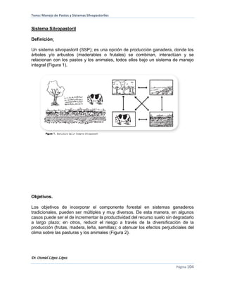 Tema: Manejo de Pastos y Sistemas Silvopastoriles
Dr. Otoniel López López
Página 104
Sistema Silvopastoril
Definición:
Un sistema silvopastoril (SSP); es una opción de producción ganadera, donde los
árboles y/o arbustos (maderables o frutales) se combinan, interactúan y se
relacionan con los pastos y los animales, todos ellos bajo un sistema de manejo
integral (Figura 1).
Objetivos.
Los objetivos de incorporar el componente forestal en sistemas ganaderos
tradicionales, pueden ser múltiples y muy diversos. De esta manera, en algunos
casos puede ser el de incrementar la productividad del recurso suelo sin degradarlo
a largo plazo; en otros, reducir el riesgo a través de la diversificación de la
producción (frutas, madera, leña, semillas); o atenuar los efectos perjudiciales del
clima sobre las pasturas y los animales (Figura 2).
 