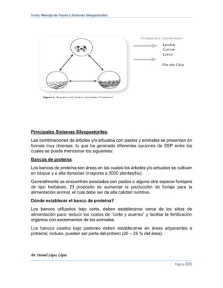Tema: Manejo de Pastos y Sistemas Silvopastoriles
Dr. Otoniel López López
Página 105
Principales Sistemas Silvopastoriles.
Las combinaciones de árboles y/o arbustos con pastos y animales se presentan en
formas muy diversas, lo que ha generado diferentes opciones de SSP entre los
cuales se puede mencionar los siguientes:
Bancos de proteína.
Los bancos de proteína son áreas en las cuales los árboles y/o arbustos se cultivan
en bloque y a alta densidad (mayores a 5000 plantas/ha).
Generalmente se encuentran asociados con pastos o alguna otra especie forrajera
de tipo herbáceo. El propósito es aumentar la producción de forraje para la
alimentación animal, el cual debe ser de alta calidad nutritiva.
Dónde establecer el banco de proteína?
Los bancos utilizados bajo corte, deben establecerse cerca de los sitios de
alimentación para: reducir los costos de “corte y acarreo” y facilitar la fertilización
orgánica con excrementos de los animales.
Los bancos usados bajo pastoreo deben establecerse en áreas adyacentes a
potreros; incluso, pueden ser parte del potrero (20 – 25 % del área).
 