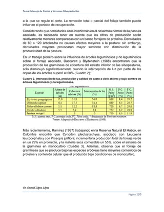 Tema: Manejo de Pastos y Sistemas Silvopastoriles
Dr. Otoniel López López
Página 120
a la que se regule el corte. La remoción total o parcial del follaje también puede
influir en el período de recuperación.
Considerando que densidades altas interferirán en el desarrollo normal de la pastura
asociada, es necesario tener en cuenta que las cifras de producción serán
relativamente menores comparadas con un banco forrajero de proteína. Densidades
de 60 a 120 árboles/ha no causan efectos mayores a la pastura: sin embargo,
densidades mayores provocarán mayor sombreo con disminución de la
productividad de la pastura.
En un trabajo pionero sobre la influencia de árboles leguminosos y no leguminosos
sobre el forraje asociado, Daccarett y Blydenstein (1968) encontraron que la
producción de las gramíneas de cobertura del estrato inferior de las silvopasturas,
solo disminuyó significativamente cuando la intercepción de luz por parte de las
copas de los árboles superó el 50% (Cuadro 2):
Cuadro 2. Intercepción de luz, producción y calidad de pasto a cielo abierto y bajo sombra de
árboles leguminosos y no leguminosos.
Más recientemente, Ramírez (1997) trabajando en la Reserva Natural El Hatico, en
Colombia encontró que Cynodon plectostachyus, asociado con Leucaena
leucocephala y con Prosopis juliflora; incrementa la producción total de forraje verde
en un 29% en promedio, y la materia seca comestible un 55%, sobre el sistema de
la gramínea en monocultivo (Cuadro 3). Además, observó que el forraje de
gramíneas que se produce bajo las especies arbóreas tiene mayores contenidos de
proteína y contenido celular que el producido bajo condiciones de monocultivo.
 