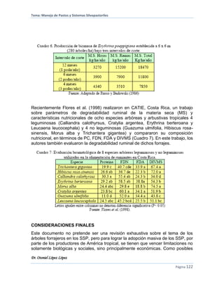 Tema: Manejo de Pastos y Sistemas Silvopastoriles
Dr. Otoniel López López
Página 122
Recientemente Flores et al. (1998) realizaron en CATIE, Costa Rica, un trabajo
sobre parámetros de degradabilidad ruminal de la materia seca (MS) y
características nutricionales de ocho especies arbóreas y arbustivas tropicales 4
leguminosas (Calliandra calothyrsus, Cratylia argentea, Erythrina berteroana y
Leucaena leucocephala) y 4 no leguminosas (Guazuma ulmifolia, Hibiscus rosa-
sinensis, Morus alba y Trichantera gigantea) y compararon su composición
nutricional, en términos de PC, FDN, FDA y DIVMS (Cuadro 7). En este trabajo, los
autores también evaluaron la degradabilidad ruminal de dichos forrajes.
CONSIDERACIONES FINALES
Este documento no pretende ser una revisión exhaustiva sobre el tema de los
árboles forrajeros en los SSP, pero para lograr la adopción masiva de los SSP, por
parte de los productores de América tropical, se tienen que vencer limitaciones no
solamente biológicas y sociales, sino principalmente económicas. Como posibles
 