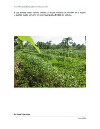 Tema: Manejo de Pastos y Sistemas Silvopastoriles
Dr. Otoniel López López
Página 124
8. Los árboles con su sombra ofrecen un mayor confort a los animales en el trópico,
lo cual se puede convertir en una mayor productividad del sistema.
 