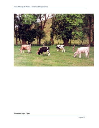 Tema: Manejo de Pastos y Sistemas Silvopastoriles
Dr. Otoniel López López
Página 12
 