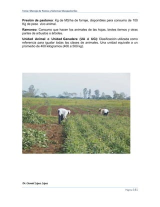 Tema: Manejo de Pastos y Sistemas Silvopastoriles
Dr. Otoniel López López
Página 141
Presión de pastoreo: Kg de MS/ha de forraje, disponibles para consumo de 100
Kg de peso vivo animal.
Ramoneo: Consumo que hacen los animales de las hojas, brotes tiernos y otras
partes de arbustos o árboles.
Unidad Animal o Unidad Ganadera (UA ó UG): Clasificación utilizada como
referencia para igualar todas las clases de animales. Una unidad equivale a un
promedio de 400 kilogramos (400 a 500 kg).
 