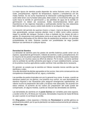 Tema: Manejo de Pastos y Sistemas Silvopastoriles
Dr. Otoniel López López
Página 25
La mejor época de siembra puede depender de varios factores como: el tipo de
suelo, precipitaciones, régimen de temperatura, especie y competencia con las
malas hierbas. Es de suma importancia la interacción suelo/agua/semilla: así, el
suelo debe tener una humedad adecuada; debe existir un movimiento del agua del
suelo hacia la semilla en germinación y; las pérdidas de agua de la semilla en
germinación no deben ser excesivas. Estás recomendaciones tienen gran
importancia en las regiones tropicales y subtropicales donde hay dos estaciones
bien definidas (lluvia y seca) y sobre todo donde no se dispone de riego.
La iniciación del período de quemas (marzo a mayo), marca la época de siembra
más generalizada, aunque quienes plantan maíz o millón como cultivo pionero
riegan la semilla del Jaragua, Guinea o Asia a mediado de los meses de julio o
agosto. En situaciones muy particulares como es el caso del Taiwán A-144, incluso
las siembras efectuadas en los últimos días de septiembre se estiman con grandes
probabilidades de éxito. Quienes cuentan con posibilidades de riego pueden
efectuar sus siembras en cualquier época.
Densidad de Siembra
La densidad de siembra para los pastos de semilla botánica puede variar con la
especie, capacidad de germinación, método de siembra, suelo y precipitaciones. En
la mayoría de los países tropicales la disponibilidad de semilla de pastos mejorados
es escasa y en muchos casos es difícil de obtener. Por lo tanto, conviene sembrar
solo la cantidad de semilla suficiente para lograr un buen establecimiento, aunque
en la práctica muchos agricultores suelen sembrar más semillas de la necesaria.
En general, se acepta que la siembra en hileras necesita menos semilla que las
siembras a voleo.
Una alta densidad de plantas agrupadas en los surcos, trae como consecuencia una
competencia intraespecífica de luz, agua y nutrientes.
Las semillas de pastos tropicales son por lo general muy caras. A veces, cuando se
siembran pastos por vía gámica, una práctica muy común, es usar densidades de
siembra mayores a las necesarias para asegurar emergencias satisfactorias, sin
valorar mucho la preparación del suelo y la época más adecuada. De acuerdo con
estos criterios, el aumento de los costos por preparación del suelo puede ser
compensado, en alguna medida, cuando se reducen las densidades de siembra.
Las densidades de siembras en el pasto Guinea son variables para esta especie,
y oscilan entre 25 y 45 libras por manzana. Densidades mayores de hasta 60 libras
se usan cuando no se limpia la semilla.
En King grass y otras especies e híbridos de Pennisetum la semilla gámica es
prácticamente estéril, por lo que la plantación se realiza exclusivamente por estacas.
 