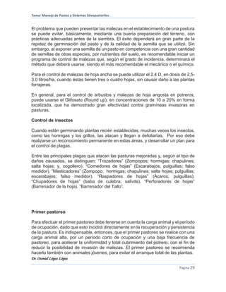 Tema: Manejo de Pastos y Sistemas Silvopastoriles
Dr. Otoniel López López
Página 29
El problema que pueden presentar las malezas en el establecimiento de una pastura
se puede evitar, básicamente, mediante una buena preparación del terreno, con
prácticas adecuadas antes de la siembra. El éxito dependerá en gran parte de la
rapidez de germinación del pasto y de la calidad de la semilla que se utilizó. Sin
embargo, al exponer una semilla de un pasto en competencia con una gran cantidad
de semillas de otras especies, por nutrientes del suelo, es recomendable iniciar un
programa de control de malezas que, según el grado de incidencia, determinará el
método que deberá usarse, siendo el más recomendable el mecánico o el químico.
Para el control de malezas de hoja ancha se puede utilizar el 2.4 D, en dosis de 2.5-
3.0 litros/ha, cuando éstas tienen tres o cuatro hojas, sin causar daño a las plantas
forrajeras.
En general, para el control de arbustos y malezas de hoja angosta en potreros,
puede usarse el Glifosato (Round up), en concentraciones de 10 a 20% en forma
localizada, que ha demostrado gran efectividad contra gramíneas invasoras en
pasturas.
Control de insectos
Cuando están germinando plantas recién establecidas, muchas veces los insectos,
como las hormigas y los grillos, las atacan y llegan a defoliarlas. Por eso debe
realizarse un reconocimiento permanente en estas áreas, y desarrollar un plan para
el control de plagas.
Entre las principales plagas que atacan las pasturas mejoradas y, según el tipo de
daños causados, se distinguen; “Trozadores” (Zompopos; hormigas; chapulines;
salta hojas; y, cogollero). “Comedores de hojas” (Escarabajos, pulguillas; falso
medidor). “Masticadores” (Zompopo; hormigas; chapulines; salta hojas; pulguillas;
escarabajos; falso medidor). “Raspadores de hojas” (Ácaros; pulguillas).
“Chupadores de hojas” (baba de culebra; salivita). “Perforadores de hojas”
(Barrenador de la hoja). “Barrenador del Tallo”.
Primer pastoreo
Para efectuar el primer pastoreo debe tenerse en cuenta la carga animal y el período
de ocupación, dado que esto incidirá directamente en la recuperación y persistencia
de la pastura. Es indispensable, entonces, que el primer pastoreo se realice con una
carga animal alta, por un período corto de ocupación y una baja frecuencia de
pastoreo, para acelerar la uniformidad y total cubrimiento del potrero, con el fin de
reducir la posibilidad de invasión de malezas. El primer pastoreo se recomienda
hacerlo también con animales jóvenes, para evitar el arranque total de las plantas.
 
