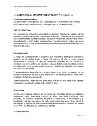 Tema: Manejo de Pastos y Sistemas Silvopastoriles
Dr. Otoniel López López
Página 33
LAS GRAMÍNEAS MÁS IMPORTANTES EN NICARAGUA
Principales características
Las gramíneas son las plantas más utilizadas para la alimentación de animales
más importantes a nivel mundial, constituyen más de 10,000 especies.
PASTO ESTRELLA
En Nicaragua se encuentran difundidos; el Cynodon nlemfuensis (pasto estrella
mejorada) con tres variedades (Jamaicano, Panameño y Tocumen), que muestran
altos rendimientos y calidad aceptable, resultando resistentes a las diversas formas
de explotación; y el Cynodon plectostachyus (estrella africana), sobre todo en la
zona del pacífico, donde se encuentra la producción especializada de leche y raza
mejorada de carne.
Establecimiento
El tiempo de establecimiento es el periodo que necesita un pasto para alcanzar un
equilibrio en la unidad suelo – planta, de manera tal que, el mismo puede
comenzarse a explotar sin que se manifieste pérdidas en su población o
debilitamiento en su sistema de rebrote y radicular. Este tiempo de establecimiento
(considerando que la siembra se efectúo al inicio de la época de lluvias) nunca debe
ser inferior a seis meses.
El establecimiento tiene ciertos principios técnicos se deben prolongar, por un
período no mayor de 45 días. Estos distribuidos, con tiempos medios, entre una y
otra labor, de la manera siguiente:
Entre Roturación y Grada: 15 días entre grada y cruce; 10 días entre cruce y grada;
otras labores (nivelación, grada, entre otras) 10 días.
Brachiarias
A éste género tropical originario de las zonas, más húmedas, pertenecen especies
importantes como (Brachiaria. mutica) cv., Pará, Brachiaria. ruziziensis, raB.
brizantha, cv. Marandu, Brachiaria brizantha B. dictyoneura, B. decumbens y B.
humidicola, mientras que otras, de ciclo anual presentan poco interés como B.
planraginea y, algunas de ellas constituyen especies invasoras; además del hìbrido
CIAT 36061 cv. Mulato y, B. brizantha cv. Toledo.
 