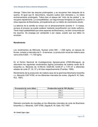 Tema: Manejo de Pastos y Sistemas Silvopastoriles
Dr. Otoniel López López
Página 35
drenaje. Tolera bien las sequías prolongadas; y se recuperan bien después de la
quema. Al igual que B. decumbens, requiere suelos bien drenados y, no tolera
encharcamiento prolongado. Tolera bien el ataque del “mión de los pastos” y, se
recupera rápidamente. La compatibilidad, con leguminosas forrajeras es superior a
otras especies de Brachiarias, principalmente por su hábito de crecimiento erecto.
La latencia de la semilla se rompe con el almacenamiento durante 4 – 6 meses,
aunque el proceso se puede acelerar mediante escarificación con ácido sulfúrico.
Tiene mejor palatabilidad que otras especies de Brachiaria y, es bien consumida por
los equinos. Se propaga por cariópside o por cepas, puesto que sus tallos no
enraízan.
Rendimiento
Los rendimientos de MS/corte, fluctúan entre 600 – 1,500 kg/ha, en épocas de
lluvias, cortado a intervalos de 5 – 8 semanas. La producción anual de materia seca
varía entre 8,600 – 11,100 kg/ha.
En el Centro Nacional de Investigaciones Agropecuarias (CNIA-Managua), se
obtuvieron los siguientes rendimientos (kg/ha) promedios de materia verde de B.
brizantha cv. Marandú de: 6,769.33; 9,620.90; 8,255.47 y 7,751.47 a diferentes
edades de corte 27, 32, 37 y 42 días respectivamente (Fuentes, 1999).
Rendimiento de la producción de materia seca de la gramínea Brachiaria brizantha
c.v. Marandú CIAT 6780, en los diferentes intervalos de cortes. (Aguila,R. W; Galo,
R.E. 1997)
Frecuencia de corte (días) Producción total de MS (Kg/ha)
27 2383.1
32 2403.1
37 2333.9
42 2512.1
Diámetro promedio de macollas en los diferentes intervalos de corte de Brachiaria
brizantha c.v. Marandú. CIAT 6780, (Aguila,R. W; Galo. R.E 1997.
 