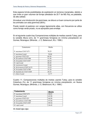 Tema: Manejo de Pastos y Sistemas Silvopastoriles
Dr. Otoniel López López
Página 37
Esta especie brinda posibilidades de explotación en terrenos marginales, debido a
que rinde un gran volumen de forraje (alrededor de 20 T de MS /ha), es palatable,
de alta calidad.
Al evaluar una introducción de gramíneas, se obtuvo un buen consumo por parte de
los animales con esta gramínea (80%).
Puede resistir el pastoreo con cargas ligeramente altas, con frecuencia se utiliza
como forraje verde picado, no es apropiado para ensilaje.
En el siguiente cuadro hay Comparaciones múltiples de medias usando Tukey, para
la variable Altura (cm), de 11 gramíneas forrajeras en mínima precipitación en
Guinea, Nicaragua. (Miranda , J. C; Betancourt, M,J. 1998.)
Tratamiento
P. maximun CIAT 673
Media
78.25
P. maximun Local 70.90
A. gayanus CIAT 621 68.58
B. decumbens CIAT 606 51.58
B. brizantha CIAT 6387 44.54
H. rufa Local 40.28
B. ruziziensis Local 35.44
B. dictyoneura CIAT 6133 33.25
B. brizantha CIAT 6780 31.10
B. humidicola CIAT 6369 28.33
I. ciliare Local 12.77
Cuadro 11. Comparaciones múltiples de medias usando Tukey, para la variable
Cobertura (%), de 11 gramíneas forrajeras en mínima precipitación, en Nueva
Guinea, Nicaragua. (Mirando, J. C; Betancourt, M,J. 1998.)
Tratamiento Media
P. maximun CIAT 673 80.83
P. maximun Local 63.50
A. gayanus CIAT 621 64.58
B. decumbens CIAT 606 97.50
B. brizantha CIAT 6387 89.54
H. rufa Local 26.43
 