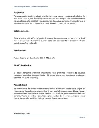 Tema: Manejo de Pastos y Sistemas Silvopastoriles
Dr. Otoniel López López
Página 46
Adaptación
Es una especie de alto grado de adaptación, crece bien en zonas desde el nivel del
mar hasta 2500 m, con precipitaciones desde los 800 mm por año; es recomendado
para suelos de alta fertilidad y sin problemas de encharcamiento. Es resistente a la
enfermedad conocida como Mosca Pinta, salivazo y mión de los pastos.
Establecimiento
Para la buena utilización del pasto Mombaza debe esperarse un período de 3 a 4
meses después de la siembra cuando esté bien establecido el potrero y cubierta
toda la superficie del suelo.
Rendimiento
Puede llegar a producir hasta 33 t de MS al año.
PASTO TANZANIA
El pasto Tanzania (Panicum maximum), una gramínea perenne de gruesas
macollas, sus tallos alcanzan hasta 1.30 cm de altura, con abundante producción
de hojas (80 % de la planta).
Adaptabilidad
Es una especie de hábito de crecimiento erecto macollado, posee hojas largas sin
pelos, sus entrenudos son levemente rojizos y sus tallos son suaves. Crece bien en
zonas desde el nivel del mar hasta 1500 m, con precipitaciones desde lo 1000 mm
por año; Tolera la sombra y sequías no prolongadas. Es recomendado para suelos
de mediana a alta fertilidad y sin problemas de encharcamiento.
 