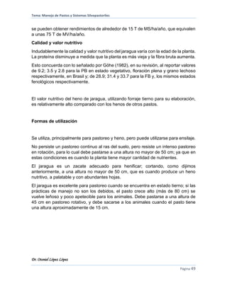 Tema: Manejo de Pastos y Sistemas Silvopastoriles
Dr. Otoniel López López
Página 49
se pueden obtener rendimientos de alrededor de 15 T de MS/ha/año, que equivalen
a unas 75 T de MV/ha/año.
Calidad y valor nutritivo
Indudablemente la calidad y valor nutritivo del jaragua varía con la edad de la planta.
La proteína disminuye a medida que la planta es más vieja y la fibra bruta aumenta.
Esto concuerda con lo señalado por Göhe (1982), en su revisión, al reportar valores
de 9.2; 3.5 y 2.8 para la PB en estado vegetativo, floración plena y grano lechoso
respectivamente, en Brasil y; de 28.9; 31.4 y 33.7 para la FB y, los mismos estados
fenológicos respectivamente.
El valor nutritivo del heno de jaragua, utilizando forraje tierno para su elaboración,
es relativamente alto comparado con los henos de otros pastos.
Formas de utilización
Se utiliza, principalmente para pastoreo y heno, pero puede utilizarse para ensilaje.
No persiste un pastoreo continuo al ras del suelo, pero resiste un intenso pastoreo
en rotación, para lo cual debe pastarse a una altura no mayor de 50 cm; ya que en
estas condiciones es cuando la planta tiene mayor cantidad de nutrientes.
El jaragua es un zacate adecuado para henificar; cortando, como dijimos
anteriormente, a una altura no mayor de 50 cm, que es cuando produce un heno
nutritivo, a palatable y con abundantes hojas.
El jaragua es excelente para pastoreo cuando se encuentra en estado tierno; si las
prácticas de manejo no son los debidos, el pasto crece alto (más de 80 cm) se
vuelve leñoso y poco apetecible para los animales. Debe pastarse a una altura de
45 cm en pastoreo rotativo, y debe sacarse a los animales cuando el pasto tiene
una altura aproximadamente de 15 cm.
 